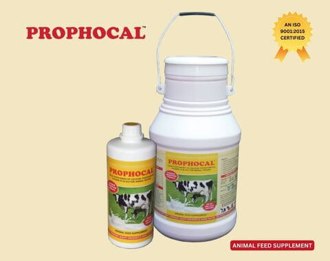 liquid supplement of calcium, posphorous vitamin d3 & b12 for animal feeding